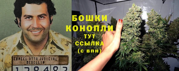 прущая мука Нея