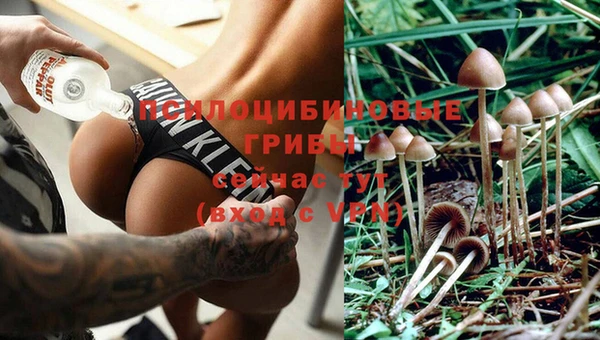 a pvp Нефтекумск