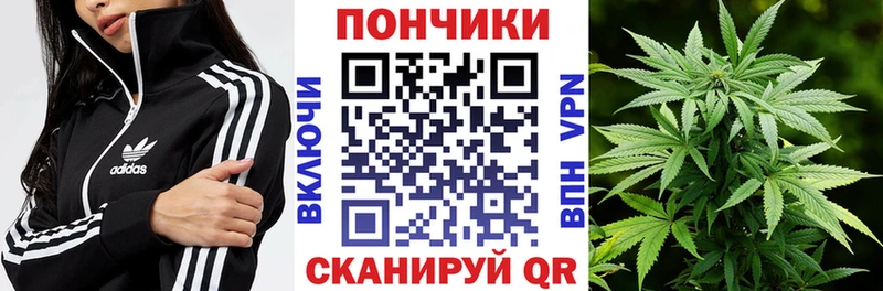 Каннабис Ganja  Купить где  Котлас 